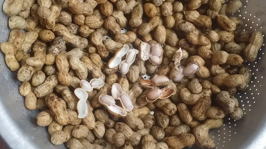 Cách chế biến Lạc rang/luộc