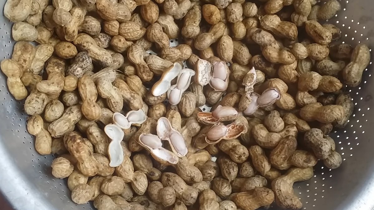 Cách chế biến Lạc rang/luộc