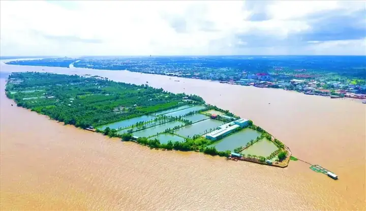 Chạch hấp bia cho sinh viên cuối tháng – vẫn ngon và no