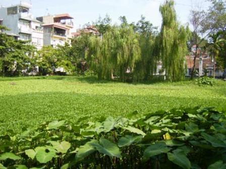 Móng giò giả cầy khi về chơi nhà xa người thân trong chuyến đi